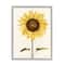 Stupell Industries Wind Has Blown Quoted Script Warm Sunflower Floral Framed Wall Art